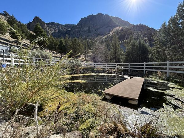 16240 Lost Coyote Lane, Mitchell, OR 97750