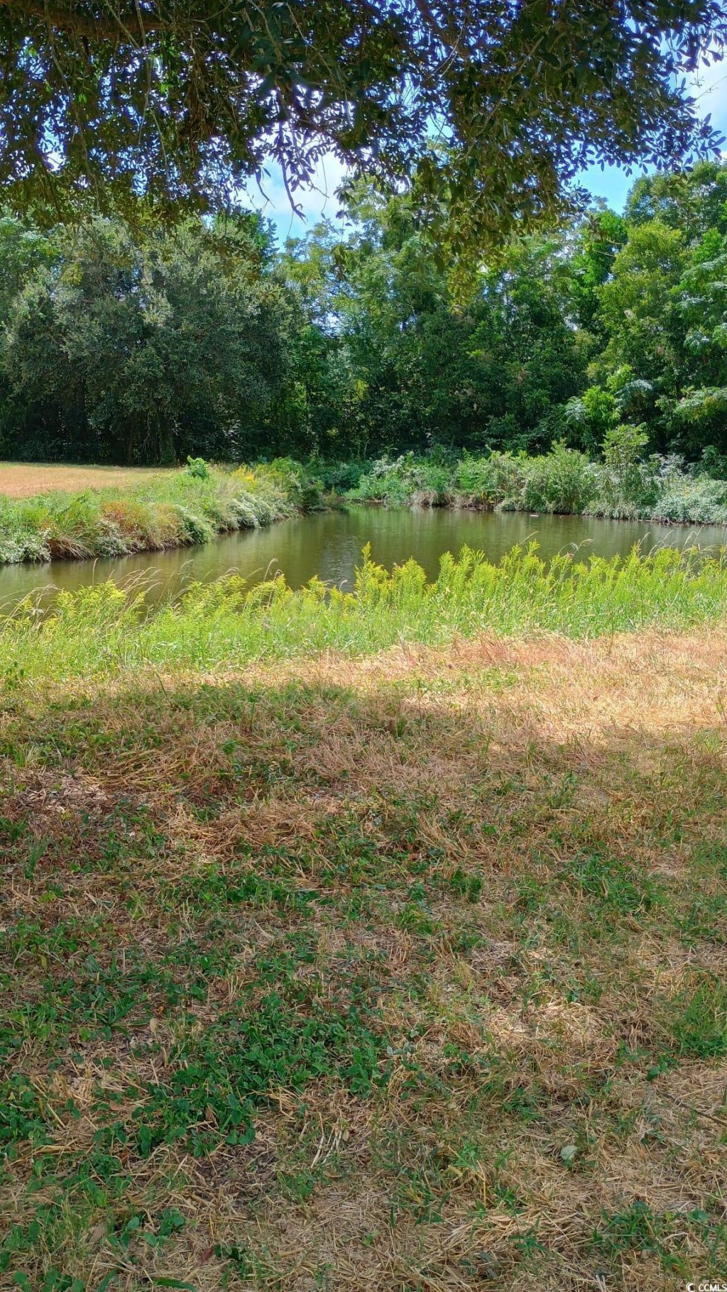 Tbd Cravens St.  Photo 4