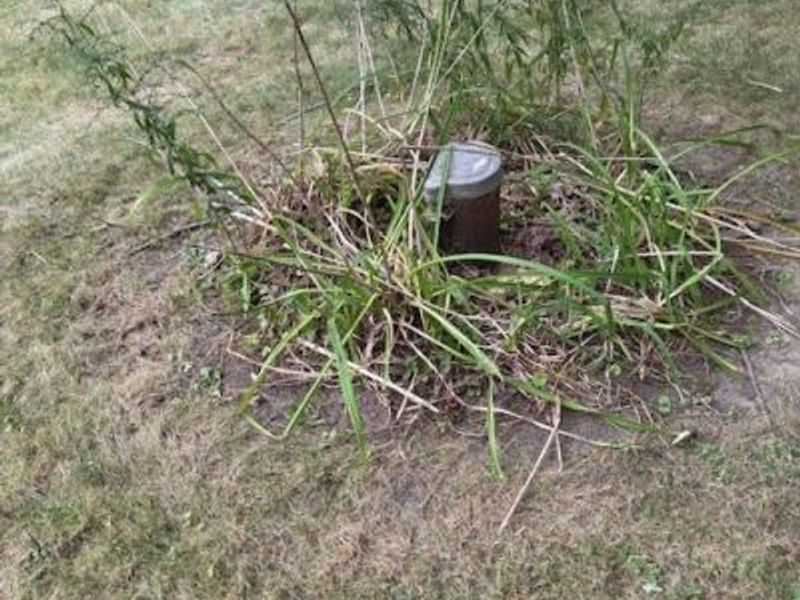 1185 Townsend Avenue, Youngstown, OH 44505 Photo 2