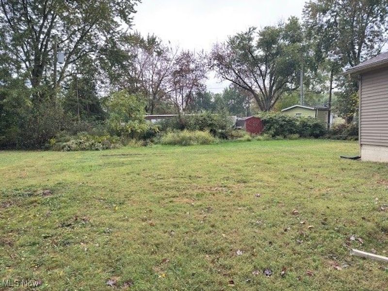 1185 Townsend Avenue, Youngstown, OH 44505 Photo 20