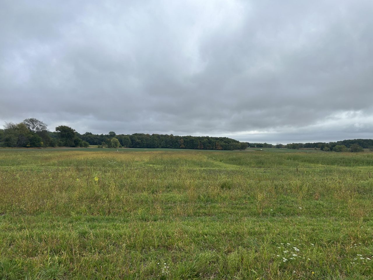 Parcel 2 Woodland Road, Woodland, MI 48897 Main Photo