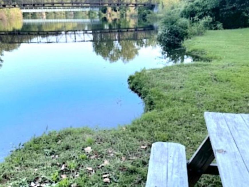 306 S Main Street, Federalsburg, MD 21632 Main Photo