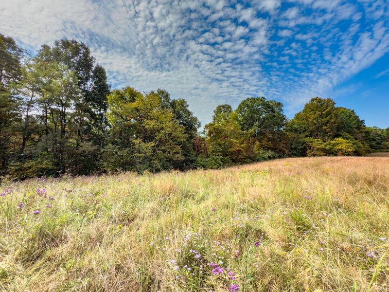 Parcel 3 Perry Ridge Rd , Wilkesville, OH 45695 Photo 11