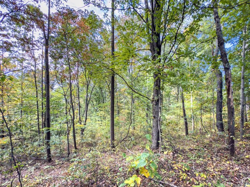 Parcel 3 Perry Ridge Rd , Wilkesville, OH 45695 Photo 14