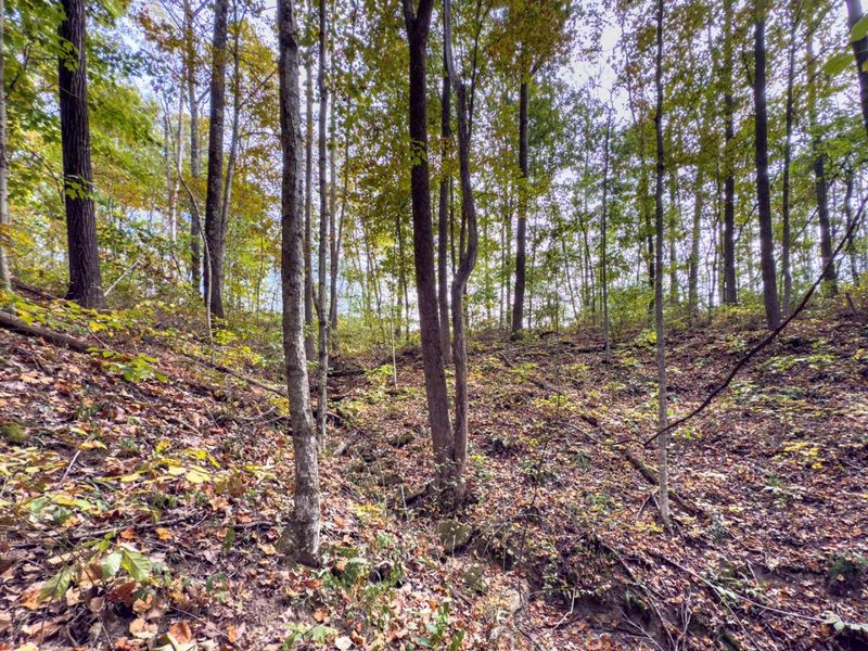 Parcel 3 Perry Ridge Rd , Wilkesville, OH 45695 Photo 16