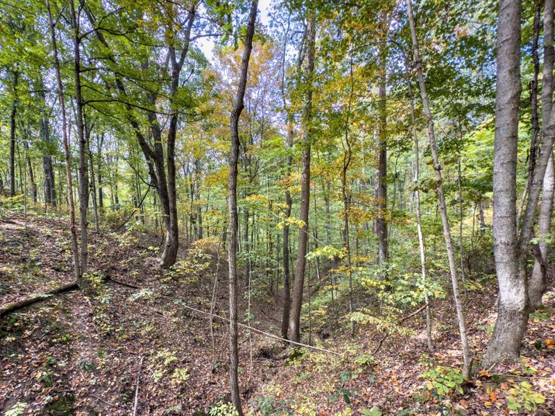 Parcel 3 Perry Ridge Rd , Wilkesville, OH 45695 Photo 17