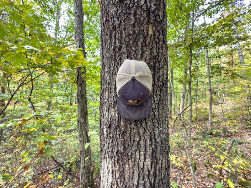 Parcel 3 Perry Ridge Rd , Wilkesville, OH 45695 Photo 18