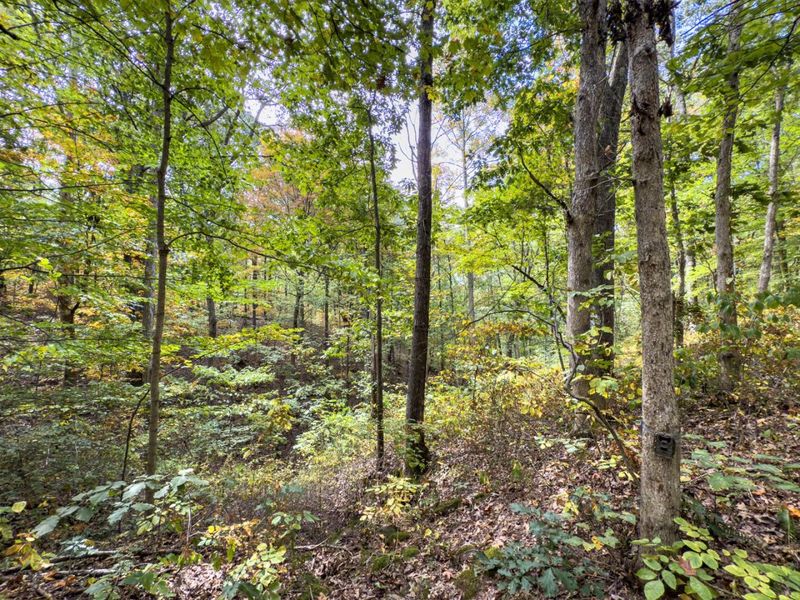 Parcel 3 Perry Ridge Rd , Wilkesville, OH 45695 Photo 19