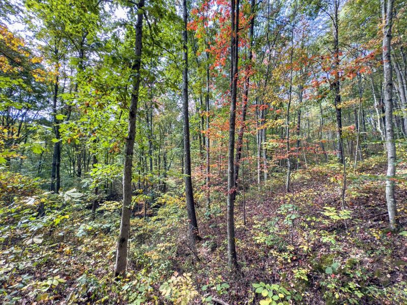 Parcel 3 Perry Ridge Rd , Wilkesville, OH 45695 Photo 20