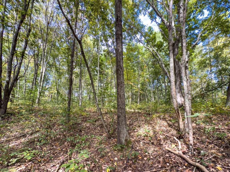 Parcel 3 Perry Ridge Rd , Wilkesville, OH 45695 Photo 21