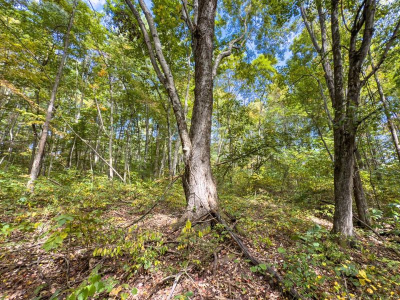 Parcel 3 Perry Ridge Rd , Wilkesville, OH 45695 Photo 22