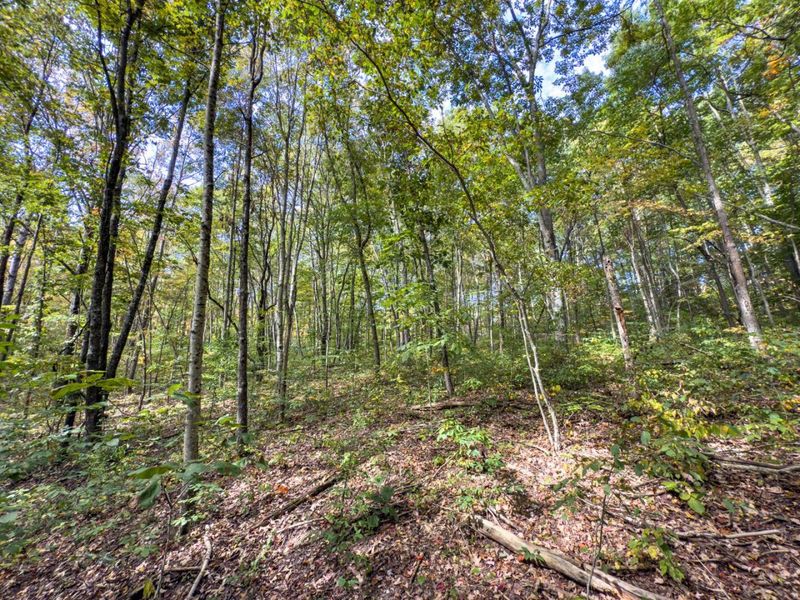 Parcel 3 Perry Ridge Rd , Wilkesville, OH 45695 Photo 23