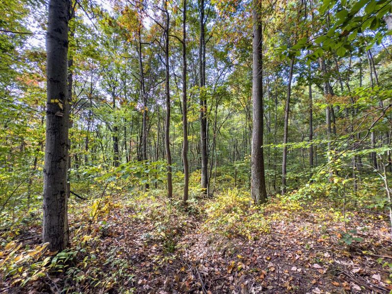 Parcel 3 Perry Ridge Rd , Wilkesville, OH 45695 Photo 24