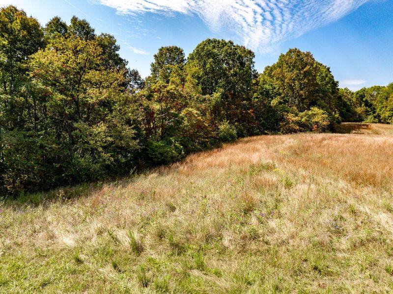 Parcel 3 Perry Ridge Rd , Wilkesville, OH 45695 Photo 5