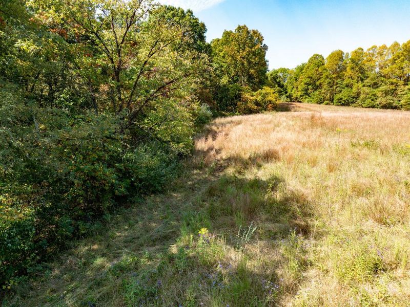 Parcel 3 Perry Ridge Rd , Wilkesville, OH 45695 Photo 7