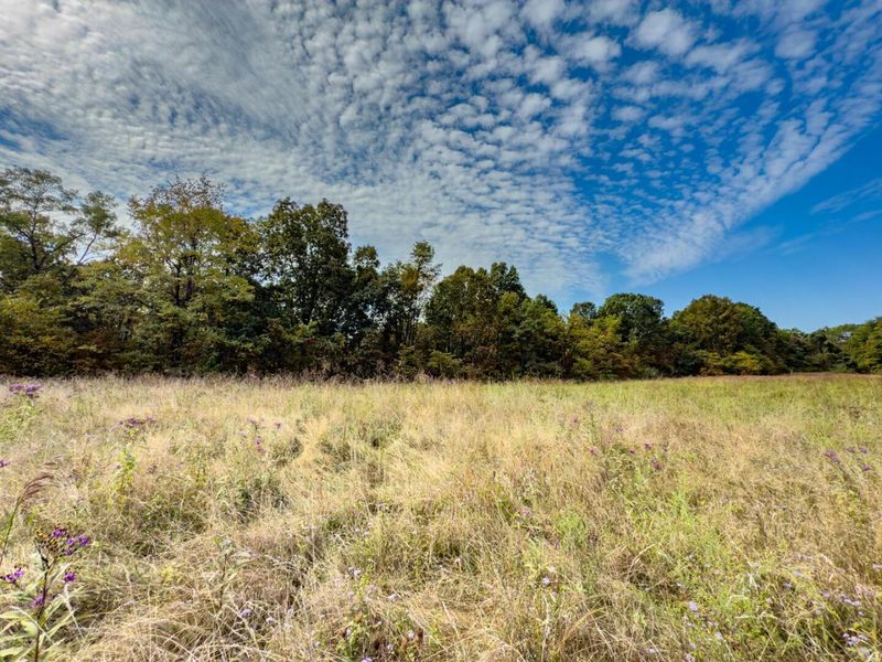 Parcel 3 Perry Ridge Rd , Wilkesville, OH 45695 Photo 9