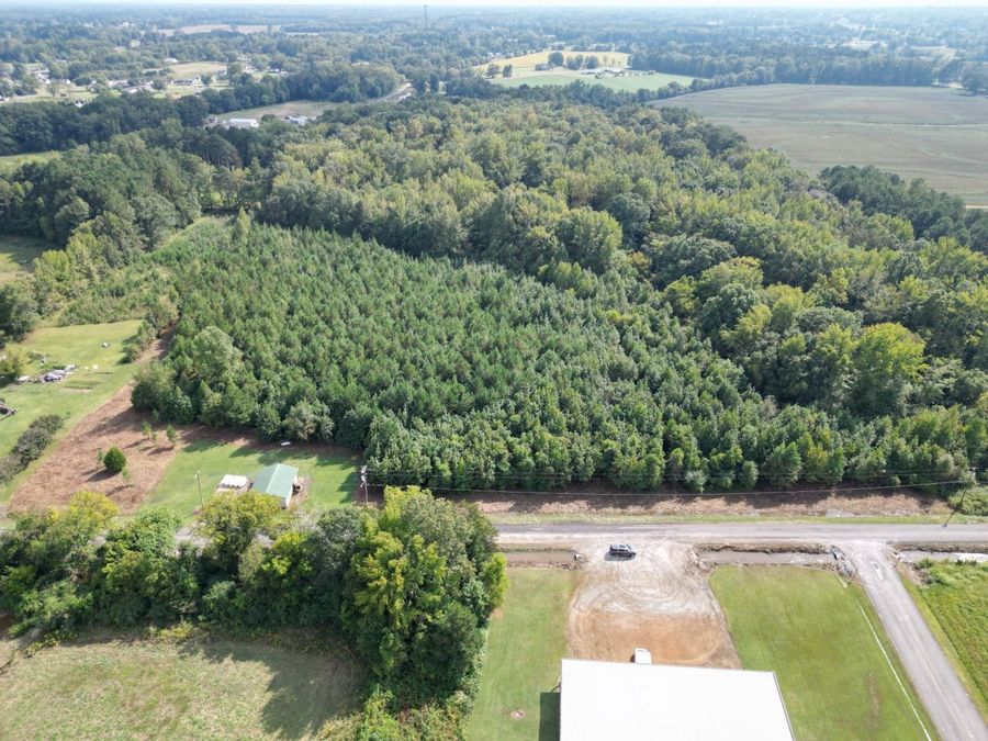 Property Image 4