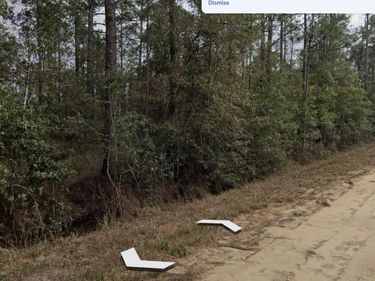 00 SELMA Avenue, Interlachen, FL 32148