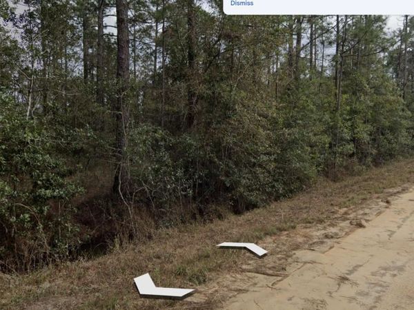 00 SELMA Avenue, Interlachen, FL 32148