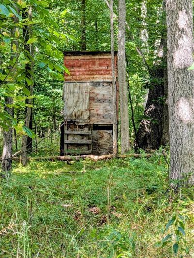 S Maywood Road, Elba Township, MI 48806 Main Photo