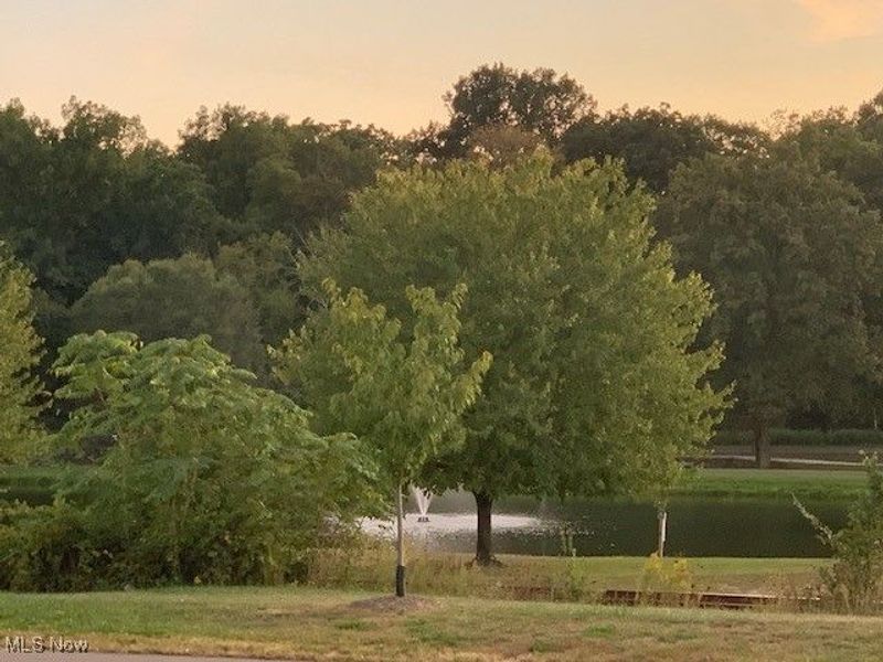 2223 Fulton Road NW, Canton, OH 44709 Photo 4