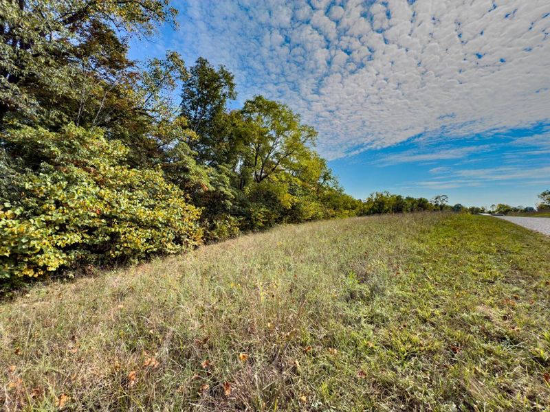 Parcel 4 Perry Ridge Rd, Wilkesville, OH 45695 Photo 3