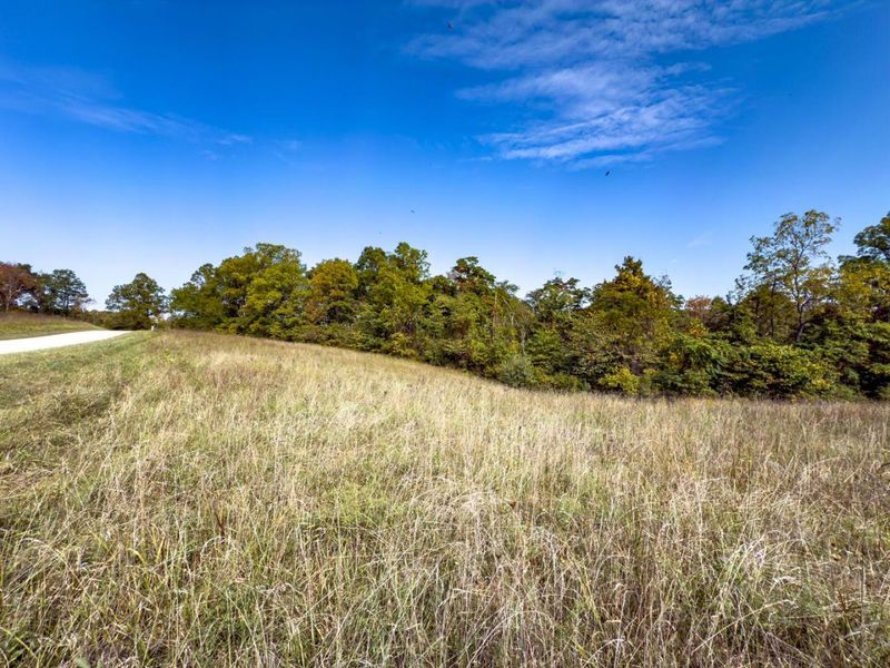 Parcel 4 Perry Ridge Rd, Wilkesville, OH 45695 Photo 4