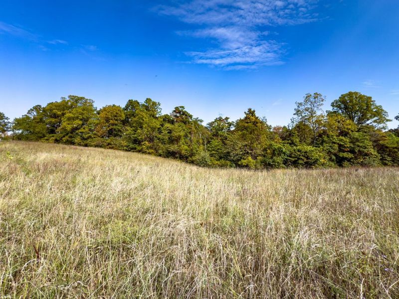 Parcel 4 Perry Ridge Rd, Wilkesville, OH 45695 Photo 5