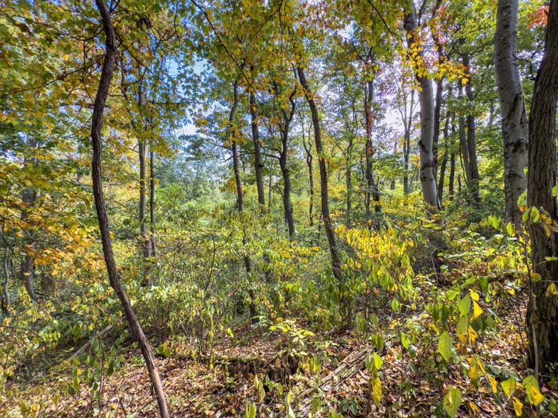 Parcel 4 Perry Ridge Rd, Wilkesville, OH 45695 Photo 7