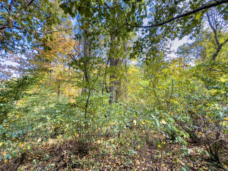 Parcel 4 Perry Ridge Rd, Wilkesville, OH 45695 Photo 8