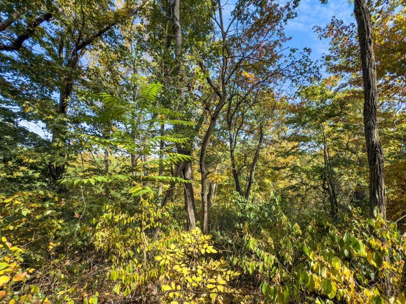 Parcel 4 Perry Ridge Rd, Wilkesville, OH 45695 Photo 9