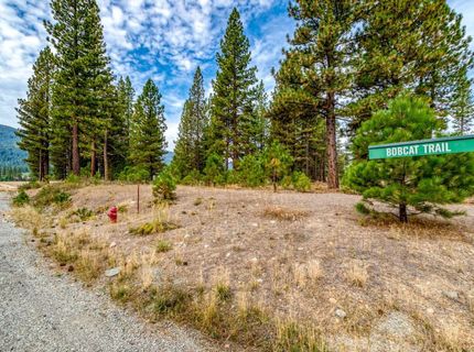 503 Redtail Loop, Clio, CA 96106 Photo