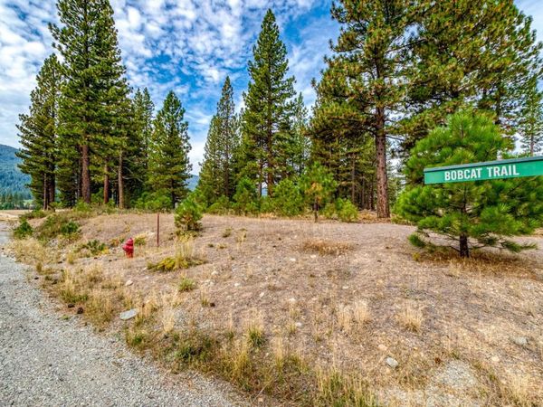 503 Redtail Loop, Clio, CA 96106