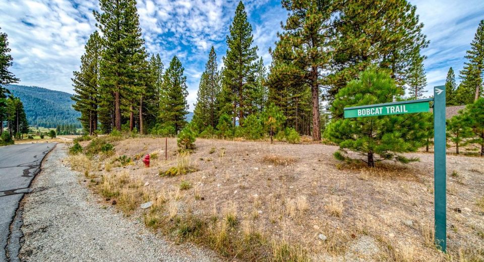 503 Redtail Loop, Clio, CA 96106 Photo