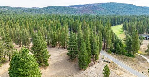 503 Redtail Loop, Clio, CA 96106 Photo