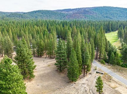 503 Redtail Loop, Clio, CA 96106 Photo