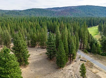 503 Redtail Loop, Clio, CA 96106 Photo