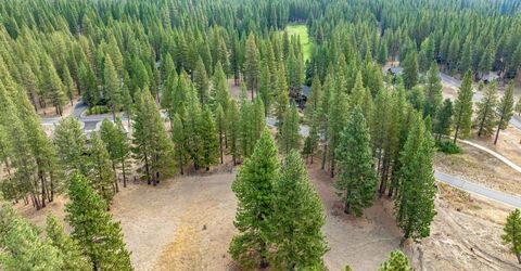 503 Redtail Loop, Clio, CA 96106 Photo