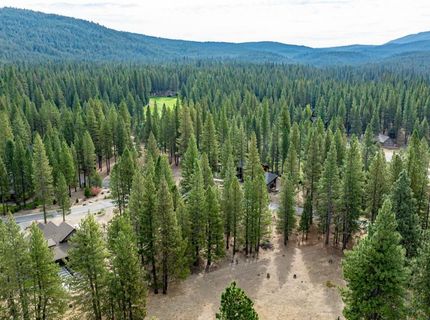 503 Redtail Loop, Clio, CA 96106 Photo
