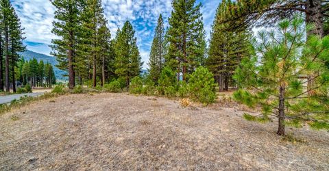 503 Redtail Loop, Clio, CA 96106 Photo