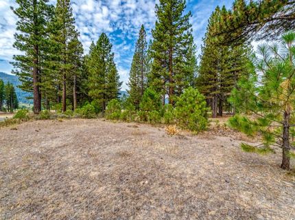 503 Redtail Loop, Clio, CA 96106 Photo