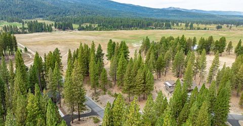 503 Redtail Loop, Clio, CA 96106 Photo