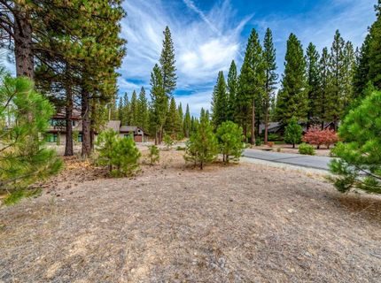 503 Redtail Loop, Clio, CA 96106 Photo