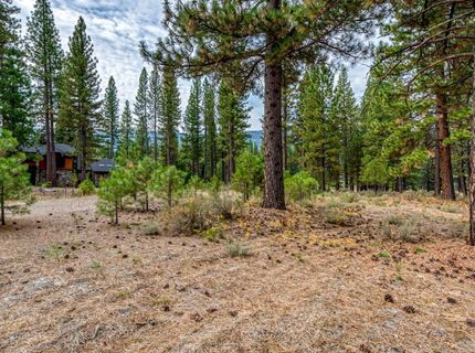 503 Redtail Loop, Clio, CA 96106 Photo