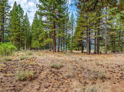 503 Redtail Loop, Clio, CA 96106 Photo