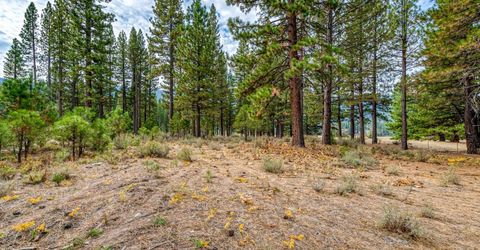 503 Redtail Loop, Clio, CA 96106 Photo