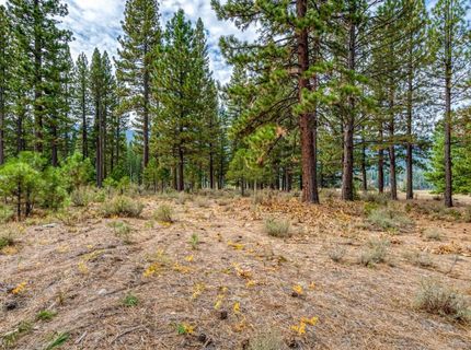 503 Redtail Loop, Clio, CA 96106 Photo