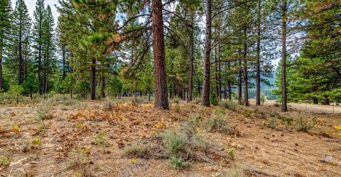 503 Redtail Loop, Clio, CA 96106 Photo
