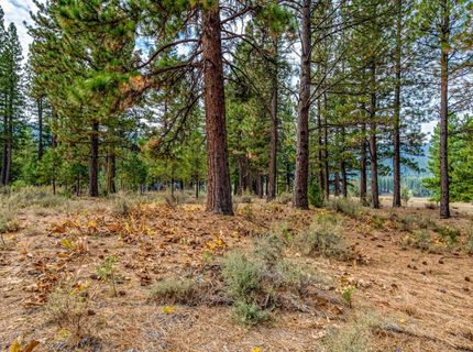 503 Redtail Loop, Clio, CA 96106 Photo