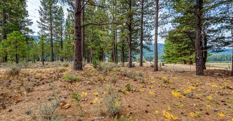 503 Redtail Loop, Clio, CA 96106 Photo